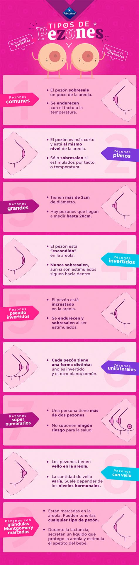 grandes pezones|Tipos de Senos Femeninos: Formas y Diversidad